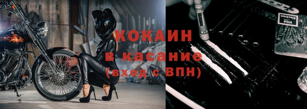 стаф Инта