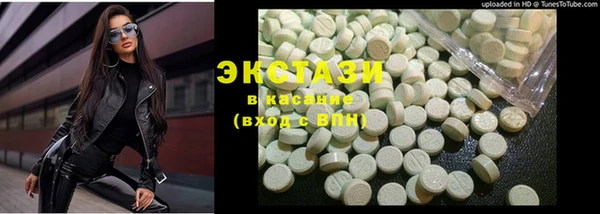 стаф Инта