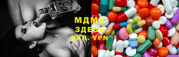 стаф Инта