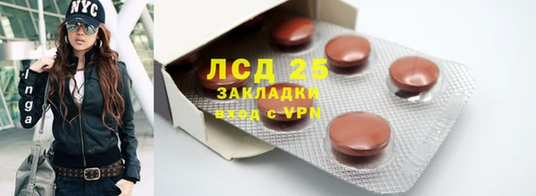 ГАЛЛЮЦИНОГЕННЫЕ ГРИБЫ Инсар