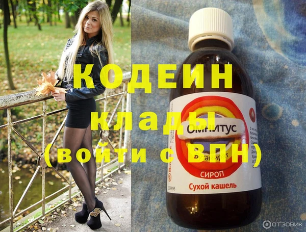 стаф Инта