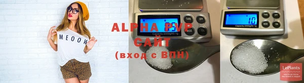 стаф Инта