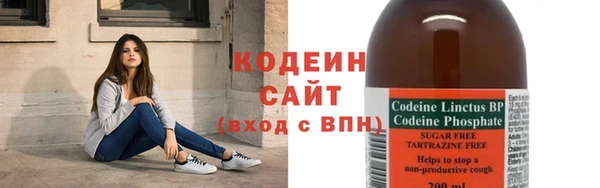 стаф Инта