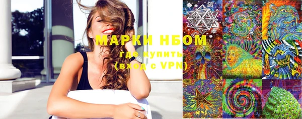 ГАЛЛЮЦИНОГЕННЫЕ ГРИБЫ Инсар