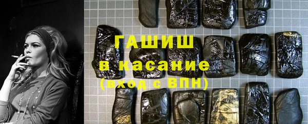 стаф Инта