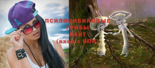 стаф Инта