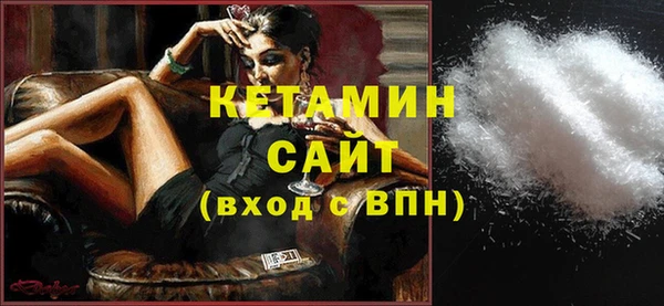 стаф Инта