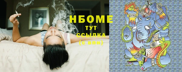 стаф Инта