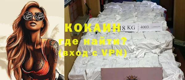 ГАЛЛЮЦИНОГЕННЫЕ ГРИБЫ Инсар