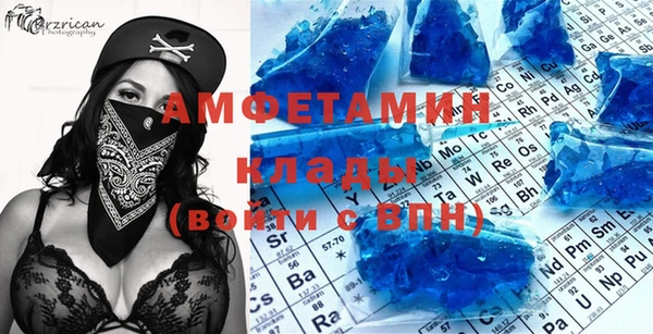 ГАЛЛЮЦИНОГЕННЫЕ ГРИБЫ Инсар