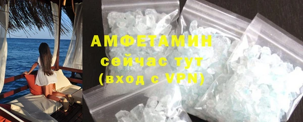 стаф Инта