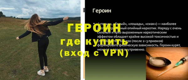 стаф Инта